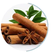 cinnamon neuro serge ingredients